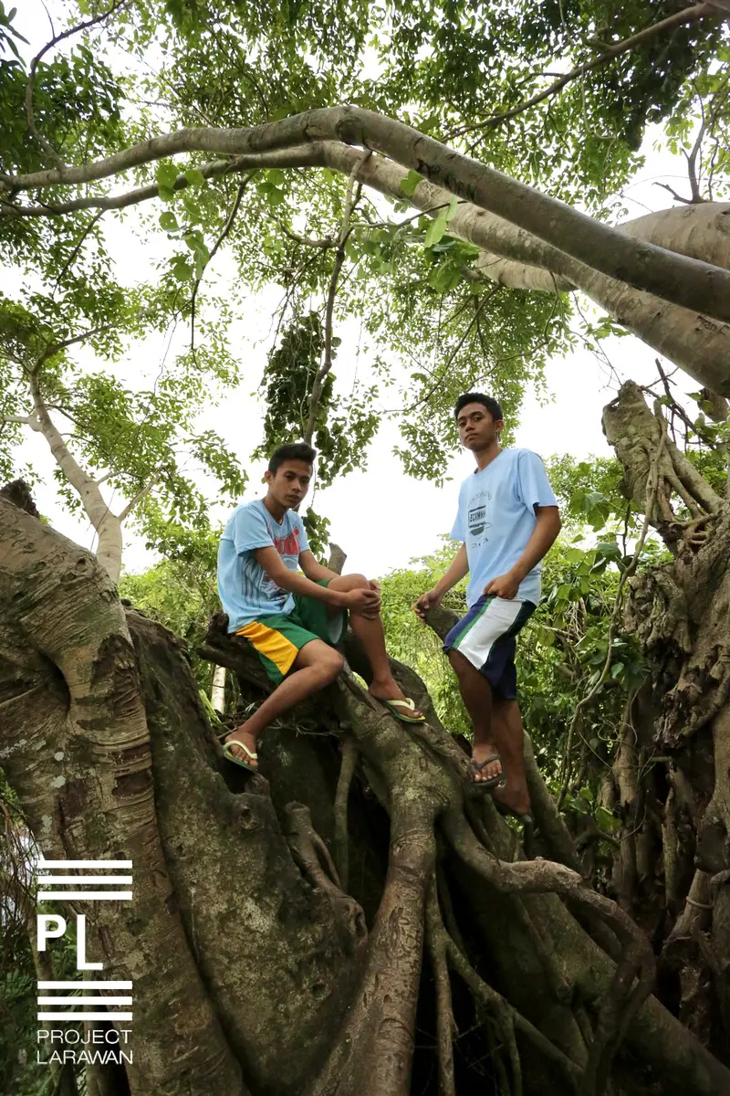 At the top of the Giant Balete Tree. Baler. - 
