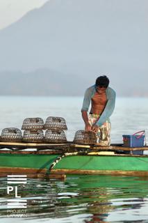 Malampaya Sound Fisherman - 