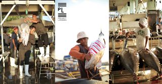 A Typical Bustling Day at the Gensan Fish Market - Cover Photo